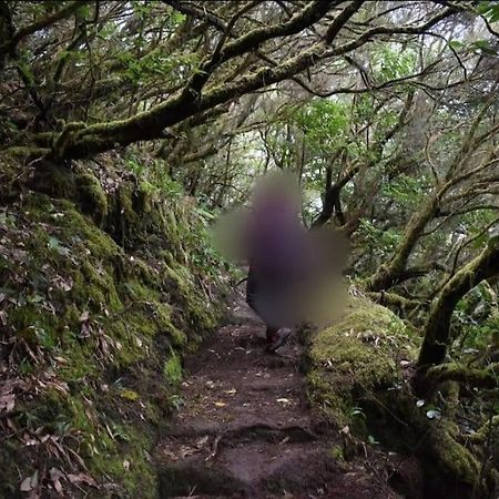 Monte Verde Chinamada Екстериор снимка