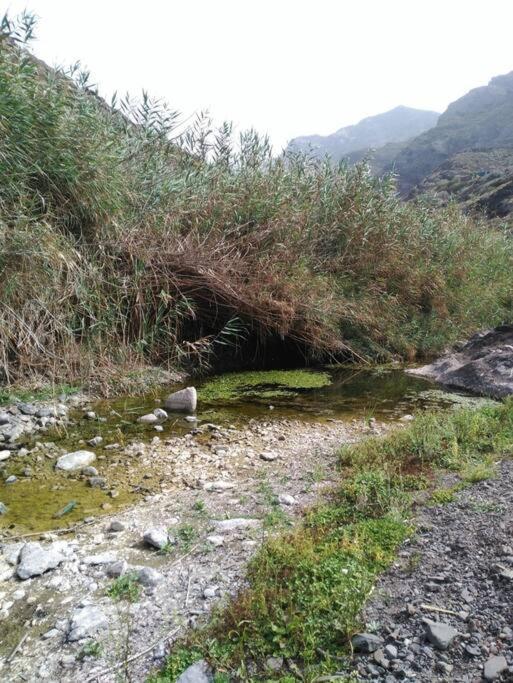 Monte Verde Chinamada Екстериор снимка