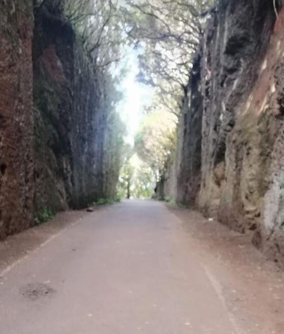 Monte Verde Chinamada Екстериор снимка