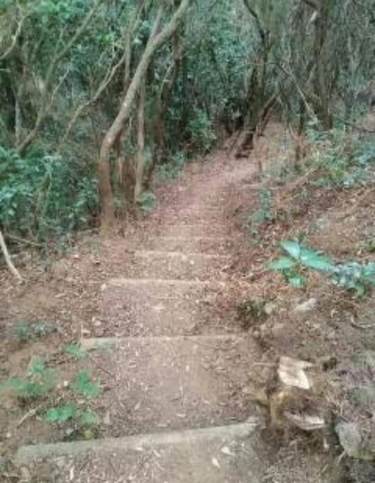 Monte Verde Chinamada Екстериор снимка
