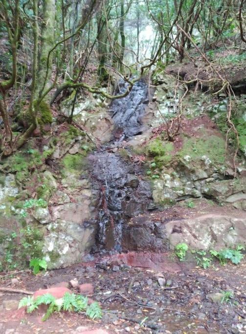 Monte Verde Chinamada Екстериор снимка